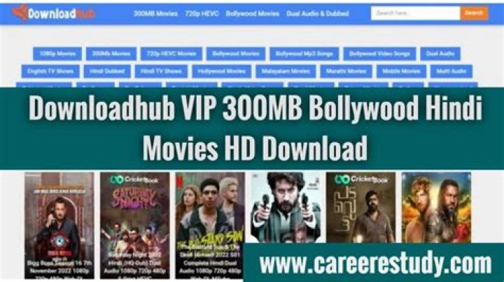 Downloadhub Download 300MB Dual Audio Bollywood, Hollywood Movies Free
