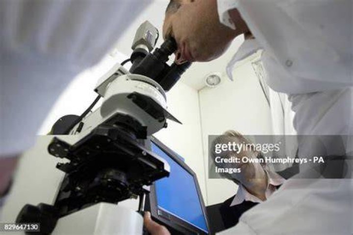 Dr. Wittler looks through microscope