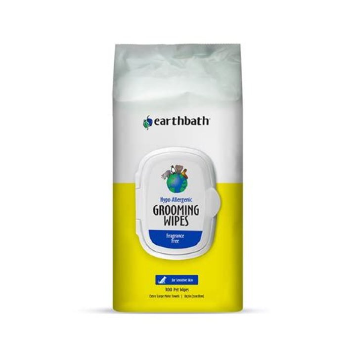Earthbath Hypo-Allergenic Dog & Cat Shampoo