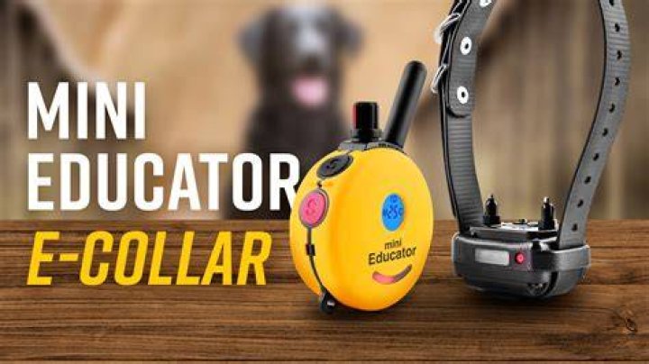 Educator By E-Collar Technologies One-Half Mile Range Remote Training Collar