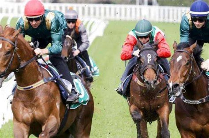 Expensive colt Mach Ten set to return in Magic Millions Wyong 2YO Classic