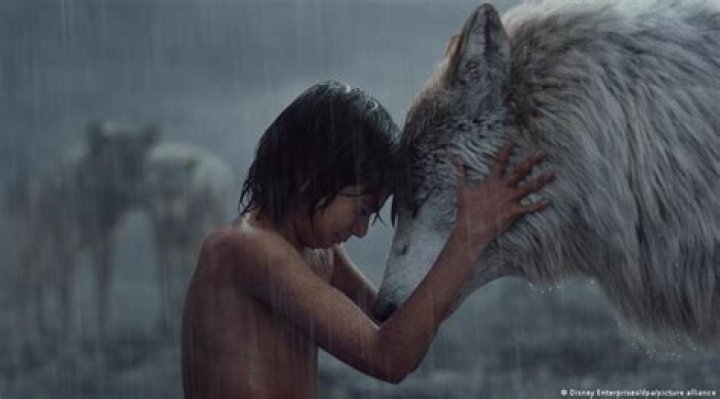Famous wolves in popular culture DW 04/03/2023