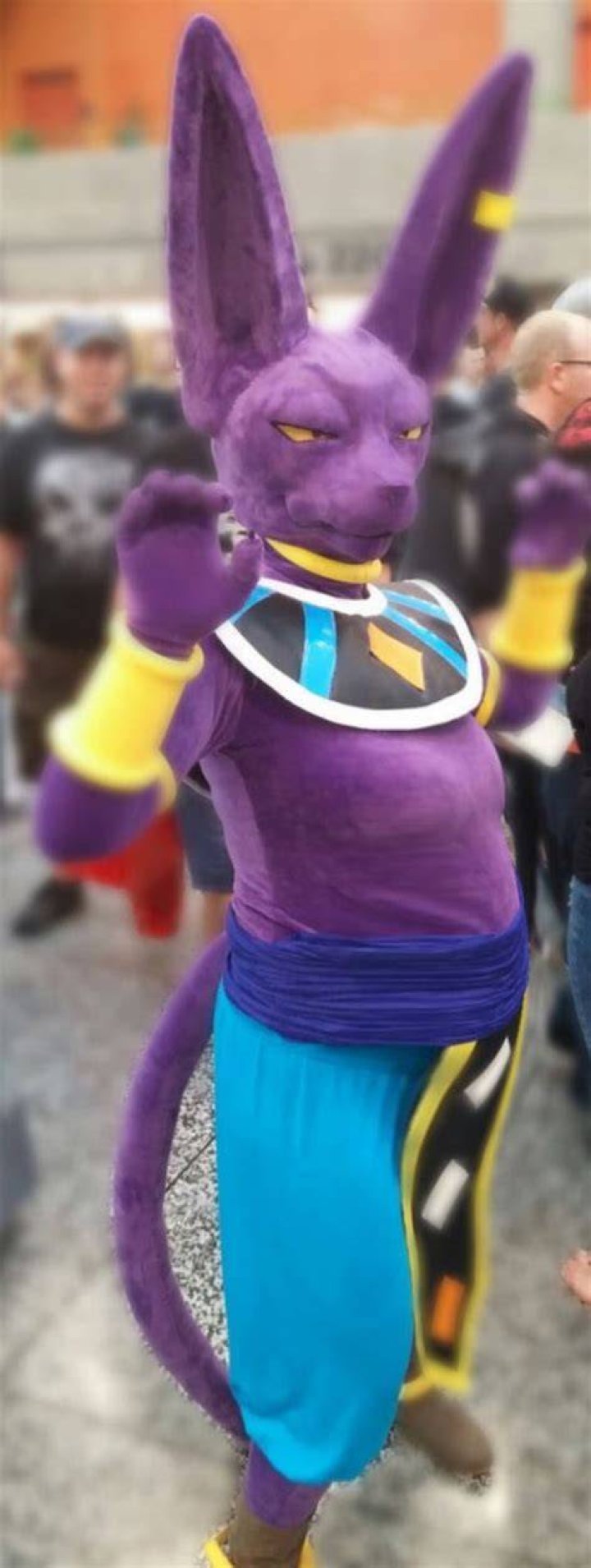 Fem Beerus Big Belly by DCXL10 on DeviantArt