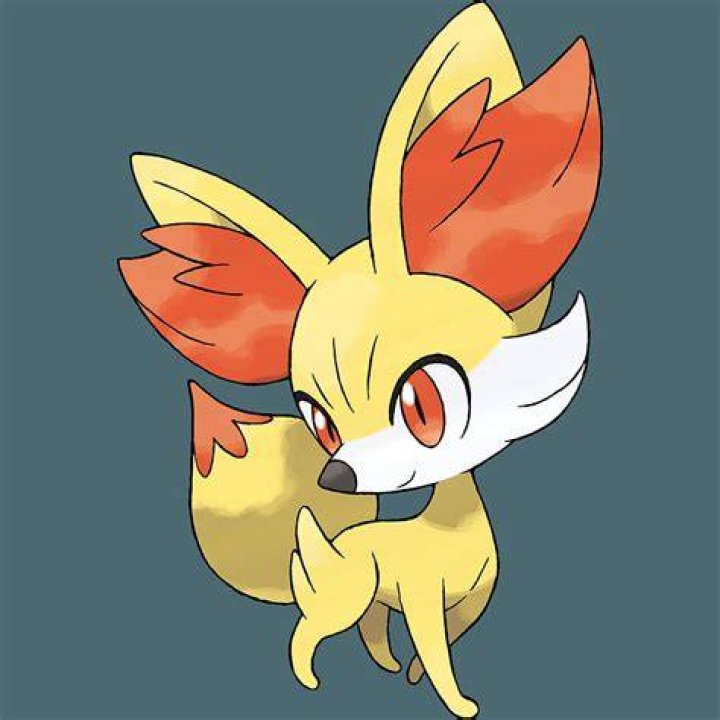Fennekin Pokemon