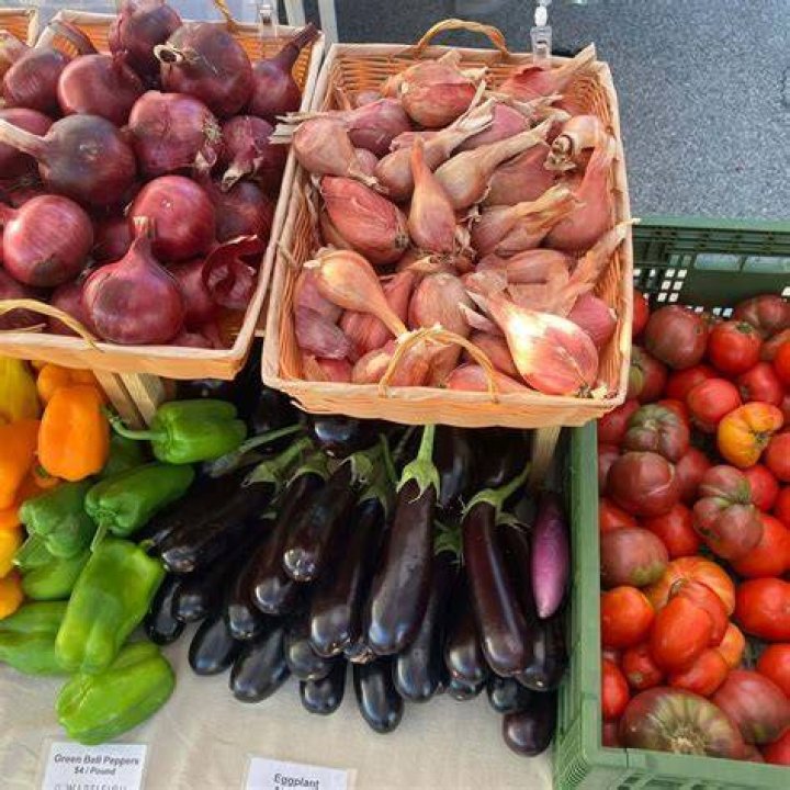 Fresh Produce &mdash; Lake Road Market