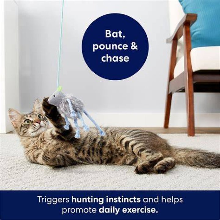 Frisco Bouncy Mouse Cat Toy