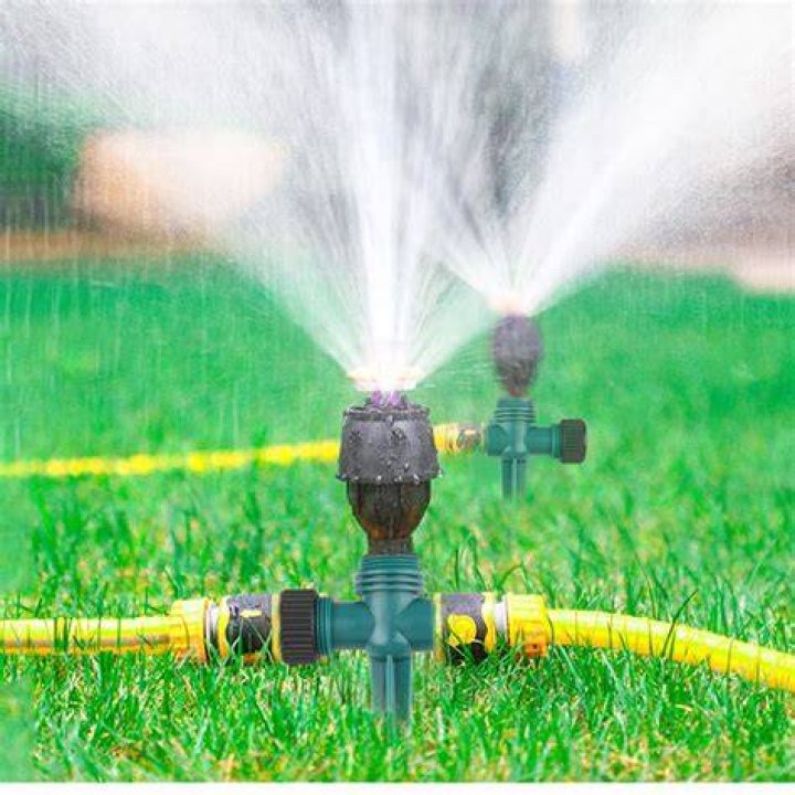 garden with sprinkler system