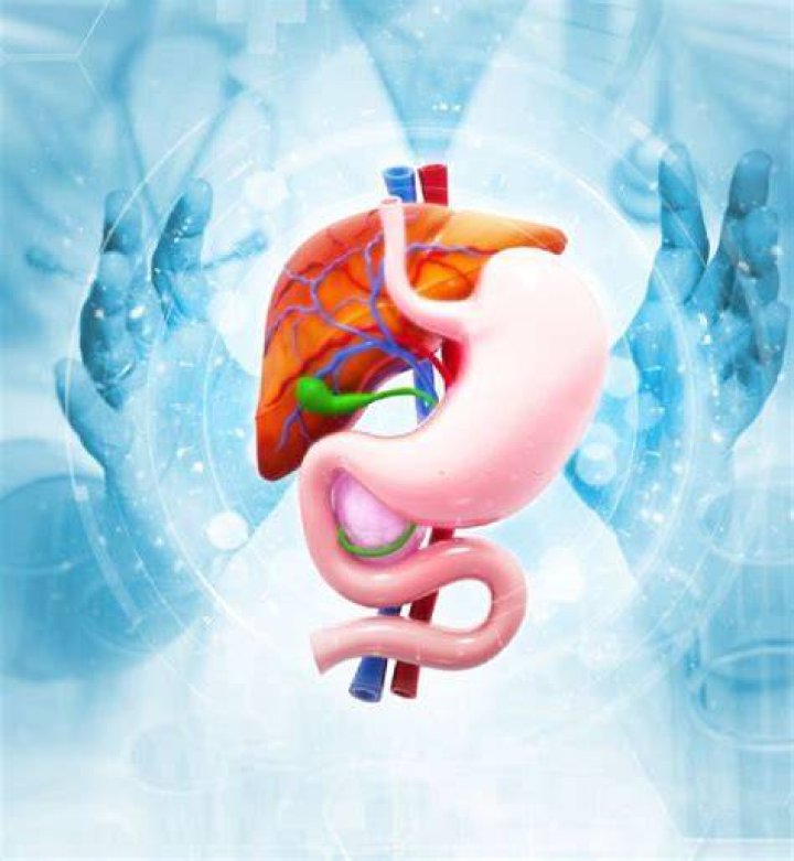 Gastroenterology, Hepatology and Motility