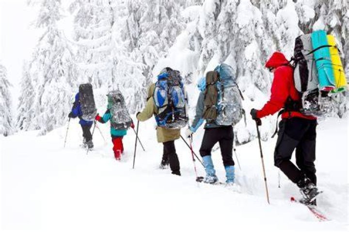 Get your winter hike on at Hays Nature Preserve