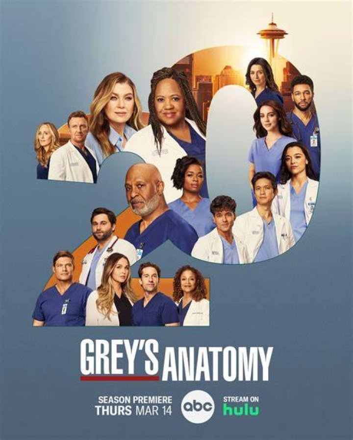 Greys anatomy season 8 arizona plane crash