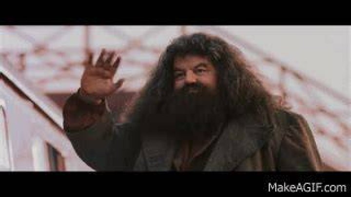 Hagrid says goodbye to Harry as he gets on the Hogwarts Express at the end of the Philosopher's Stone