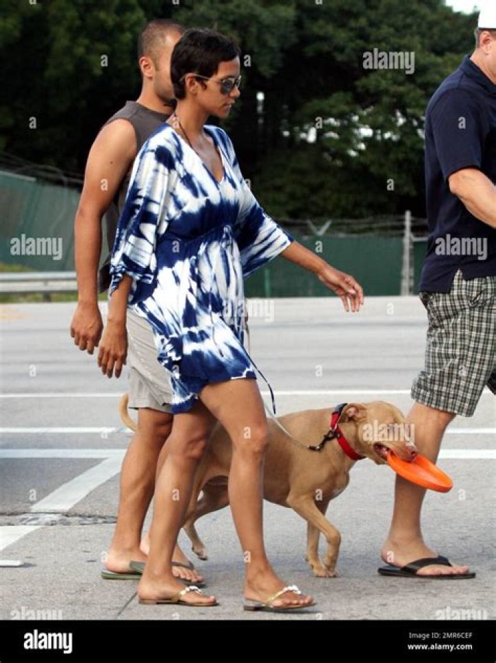 Halle Berry protects her dog in John Wick Chapter 3 Parabellum