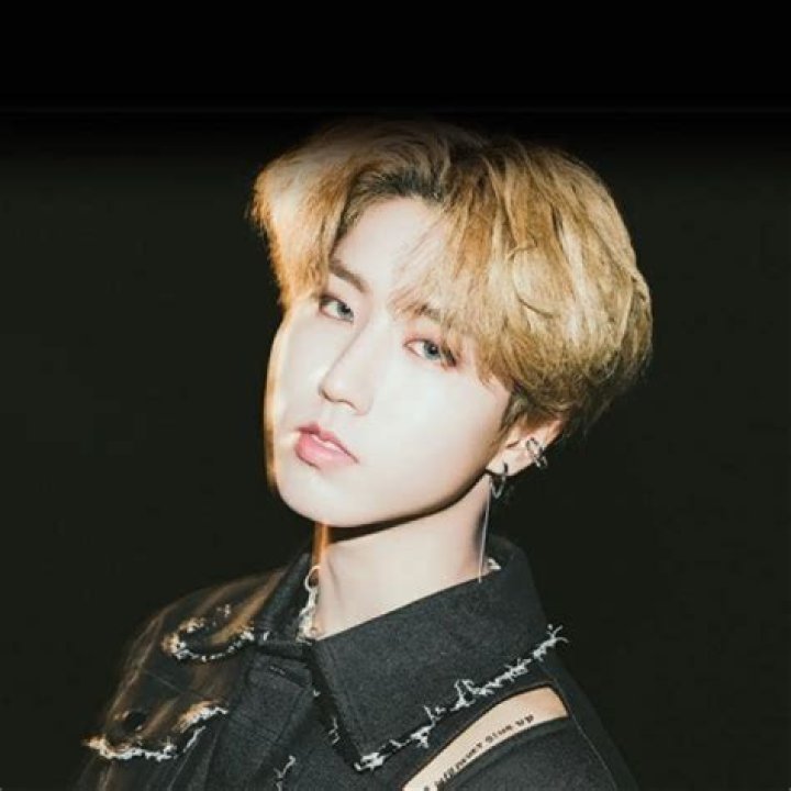 Han Jisung - Age, Bio, Birthday, Family, Net Worth