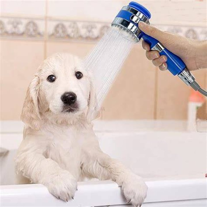 Hansprou Shower Head