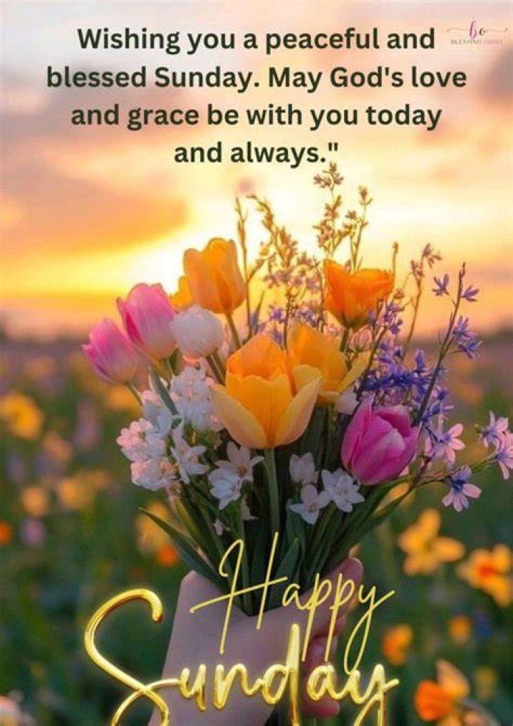 Happy Sunday Joyful Quotes With Misty Morning Hd Wallpaprs in English