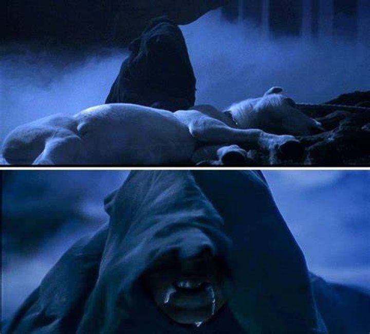 Harry Potter Quirrell Voldemort unicorn blood