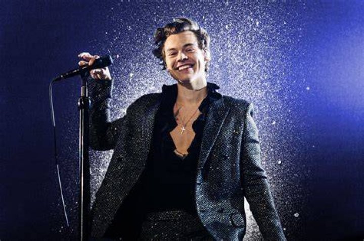 Harry Styles' Dad Didn't Approve Of One Of His ExGirlfriends