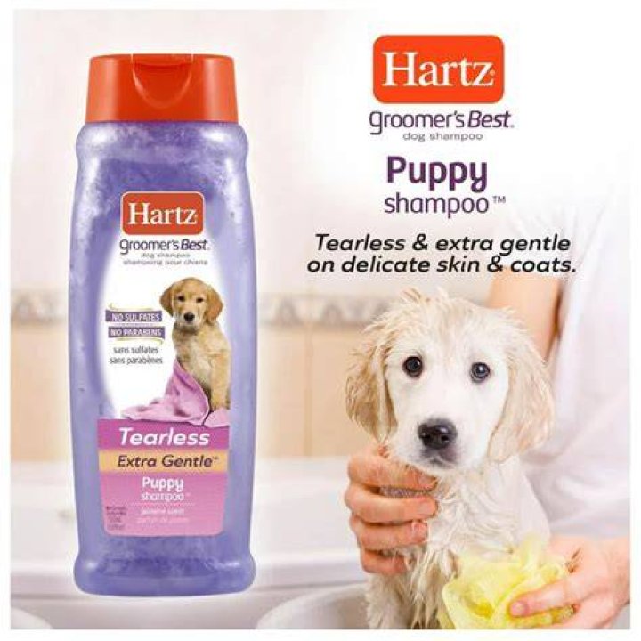 Hartz Groomer's Best Combo Dog Brush