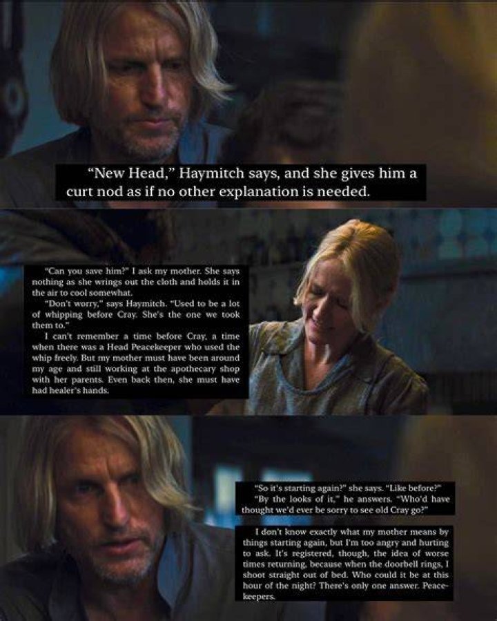 haymitch meme