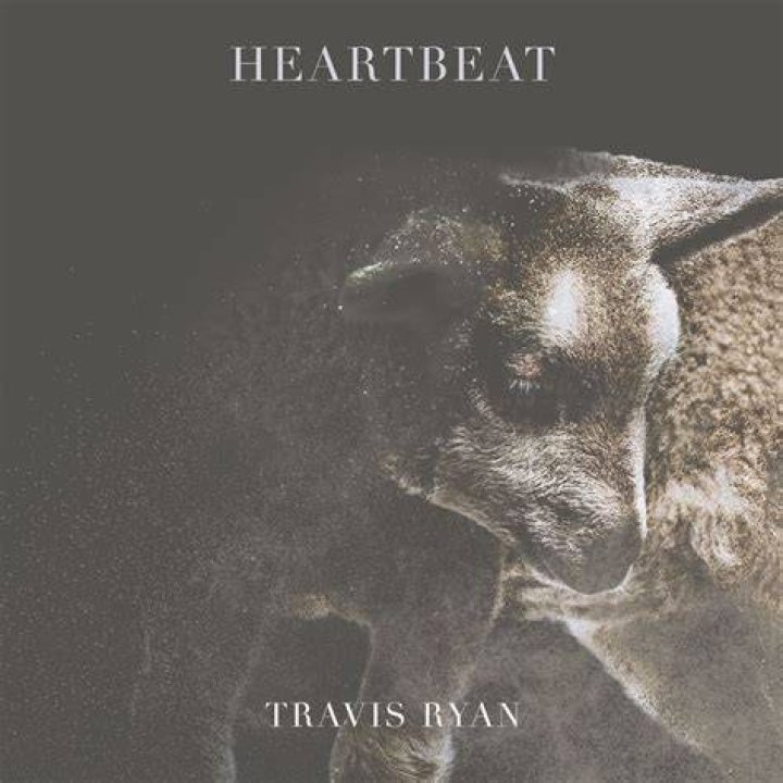 Heartbeat by Travis Ryan | MultiTracks.com