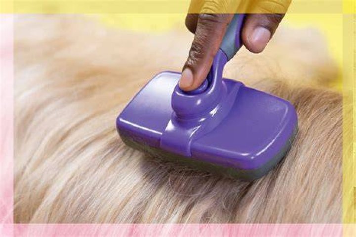Hertzko Self-Cleaning Slicker Brush
