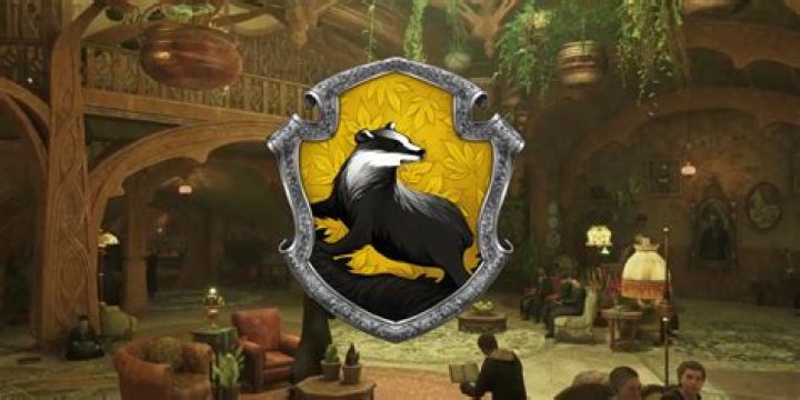 Hogwarts Hufflepuff