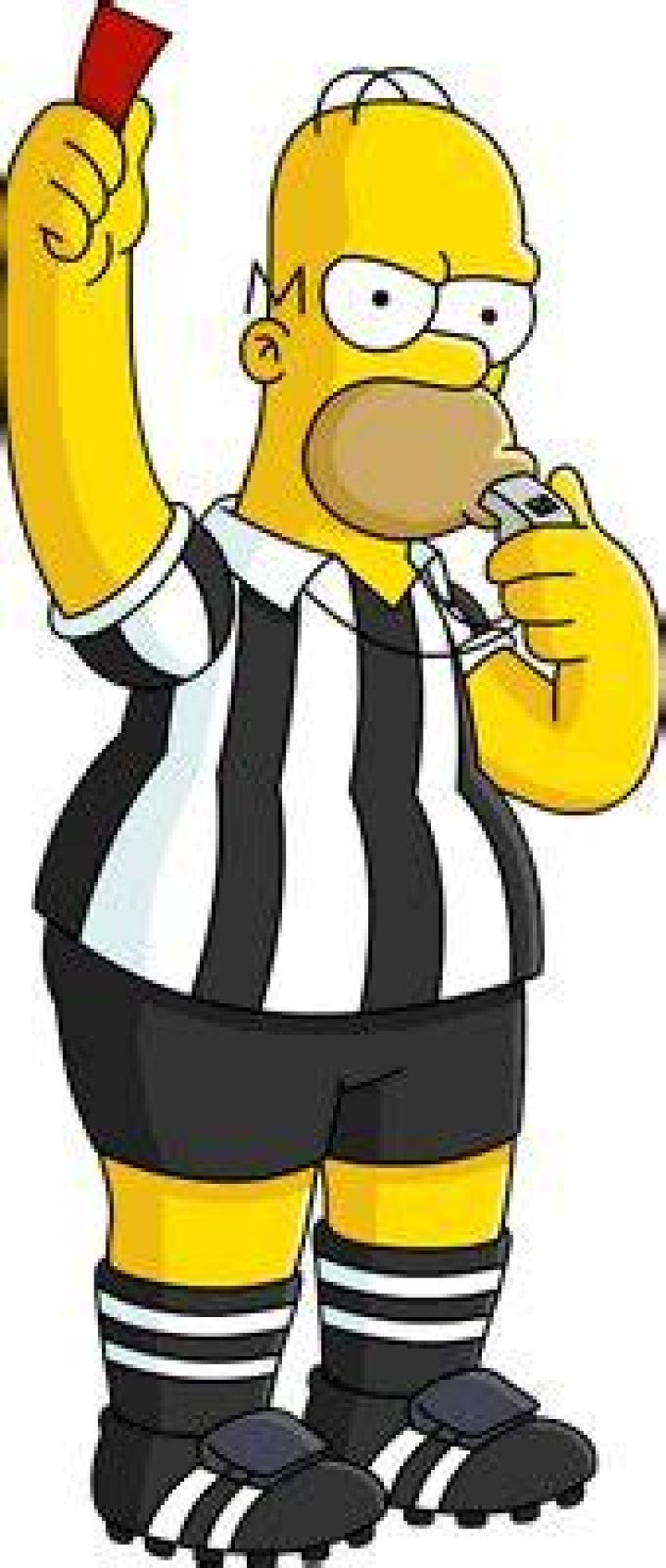 Homer is a referee in The Simpson
