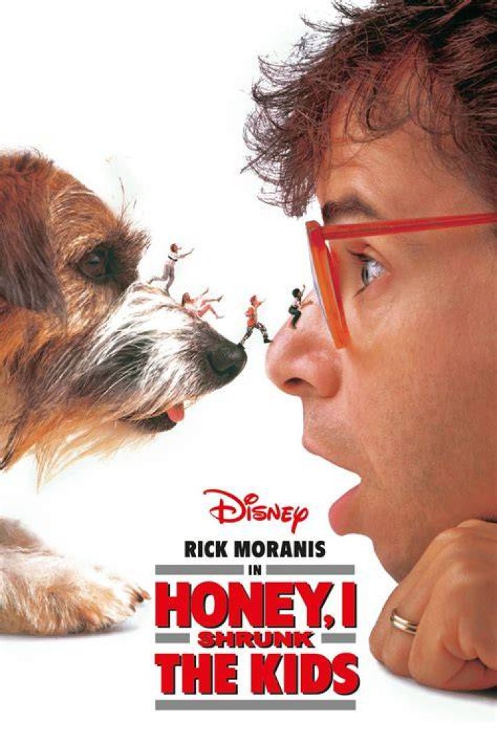 Honey , I Shrunk The Kids (remake)
