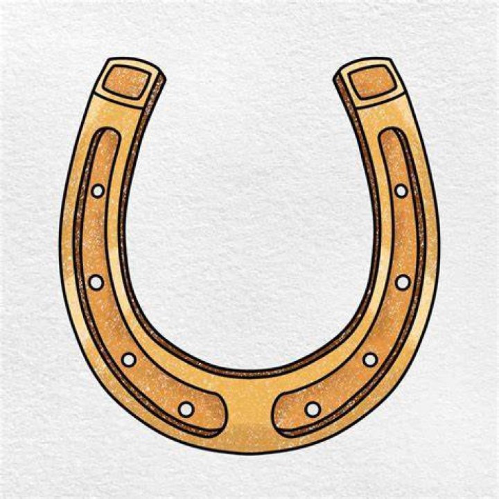 horse shoe divider