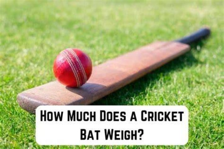 How much does a cricket player make? Pro-player salary, average wage, coaches' salary