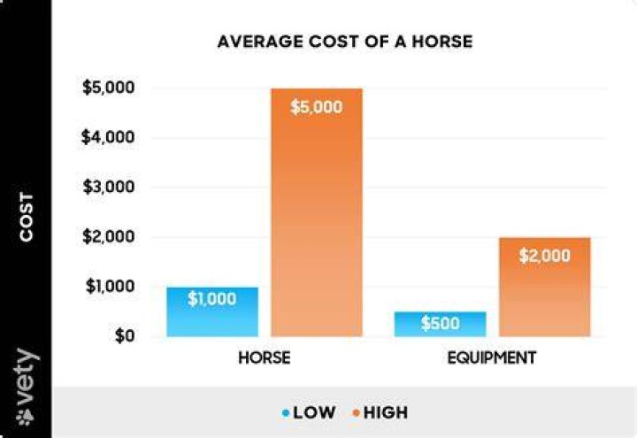 How much does an average boxer make?