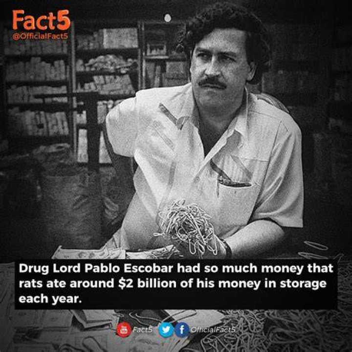 How Much Money Was Pablo Escobar Making A Day?