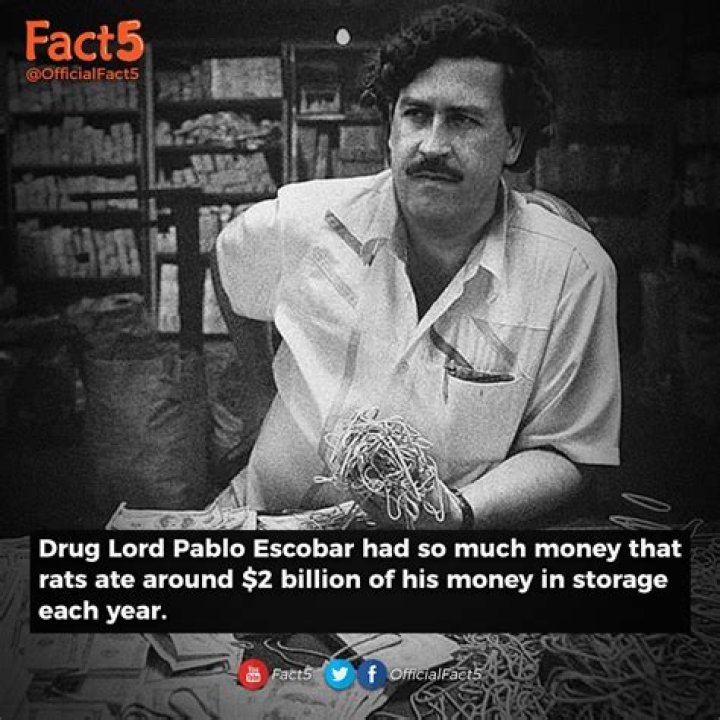 How Much Was Pablo Escobar Worth Recetema