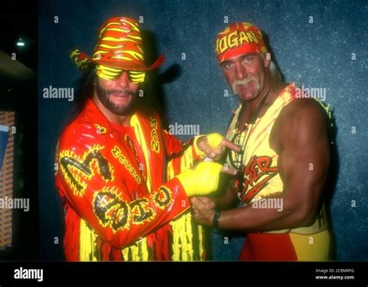 Hulk Hogan and Randy Savage join Pamela Anderson on Baywatch