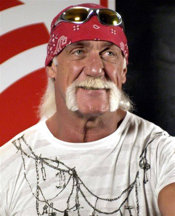 Hulk Hogan - Enzuigiri Cropped
