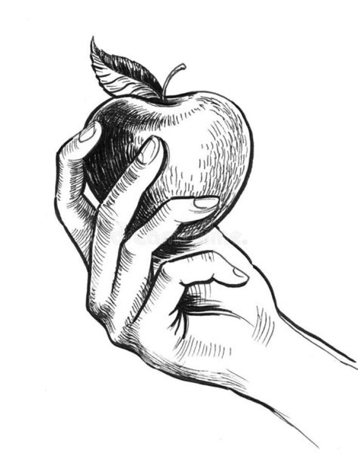 illustration of a hand, apple, rattle, book and fish bowl
