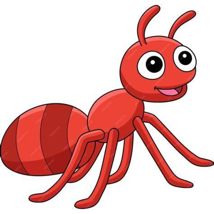 Images Clip Art Images and Photos finder