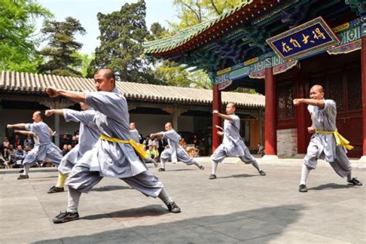Is kung fu Chinese or Indian?
