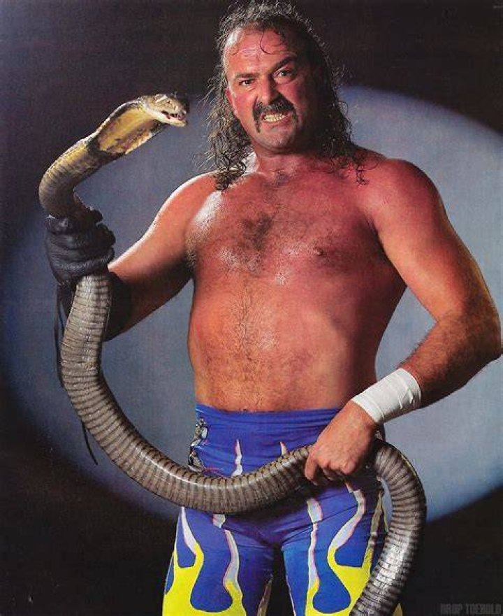 Jake the Snake Roberts