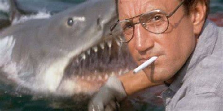 jaws bruce first appearance