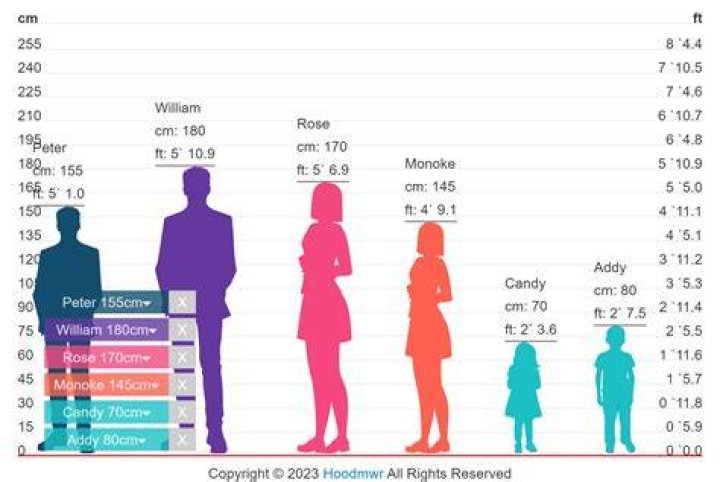 Jdion Height A Guide To Its Measurements