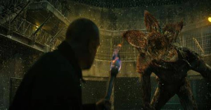 Jim Hopper fighting the Demogorgon in Russia in Stranger Things.