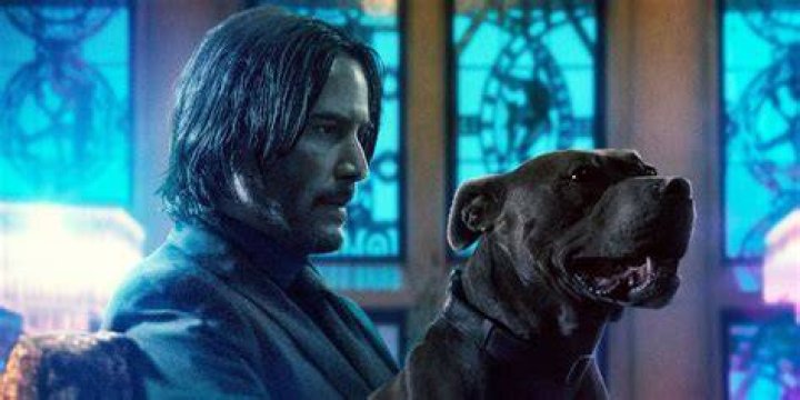 John Wick and Bubba sit together in John Wick 3.