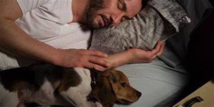 John Wick And Daisy resting in John Wick