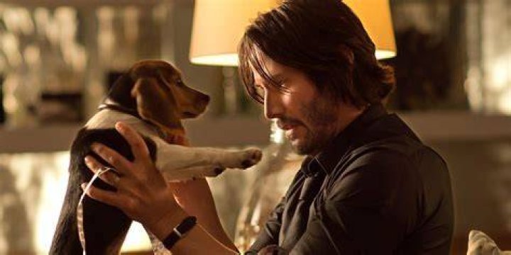John Wick with his dog in a taxicab in John Wick: Chapter 3 - Parabellum