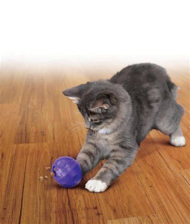 KONG Active Treat Ball Cat Toy