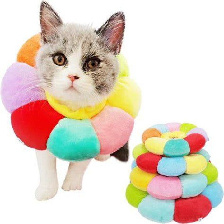 KUDES Cat Small