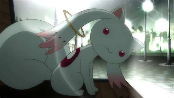 Kyubey pretends to be nonthreatening as it talks to magical girls in Madoka Magica