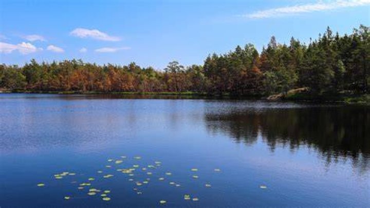 Lake M&auml;laren
