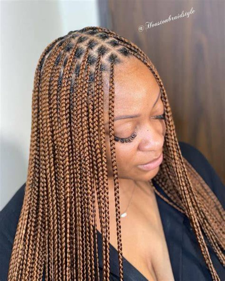 Light Brown Knotless Braids / 40 Cute Box Braids Hairstyles To Try In